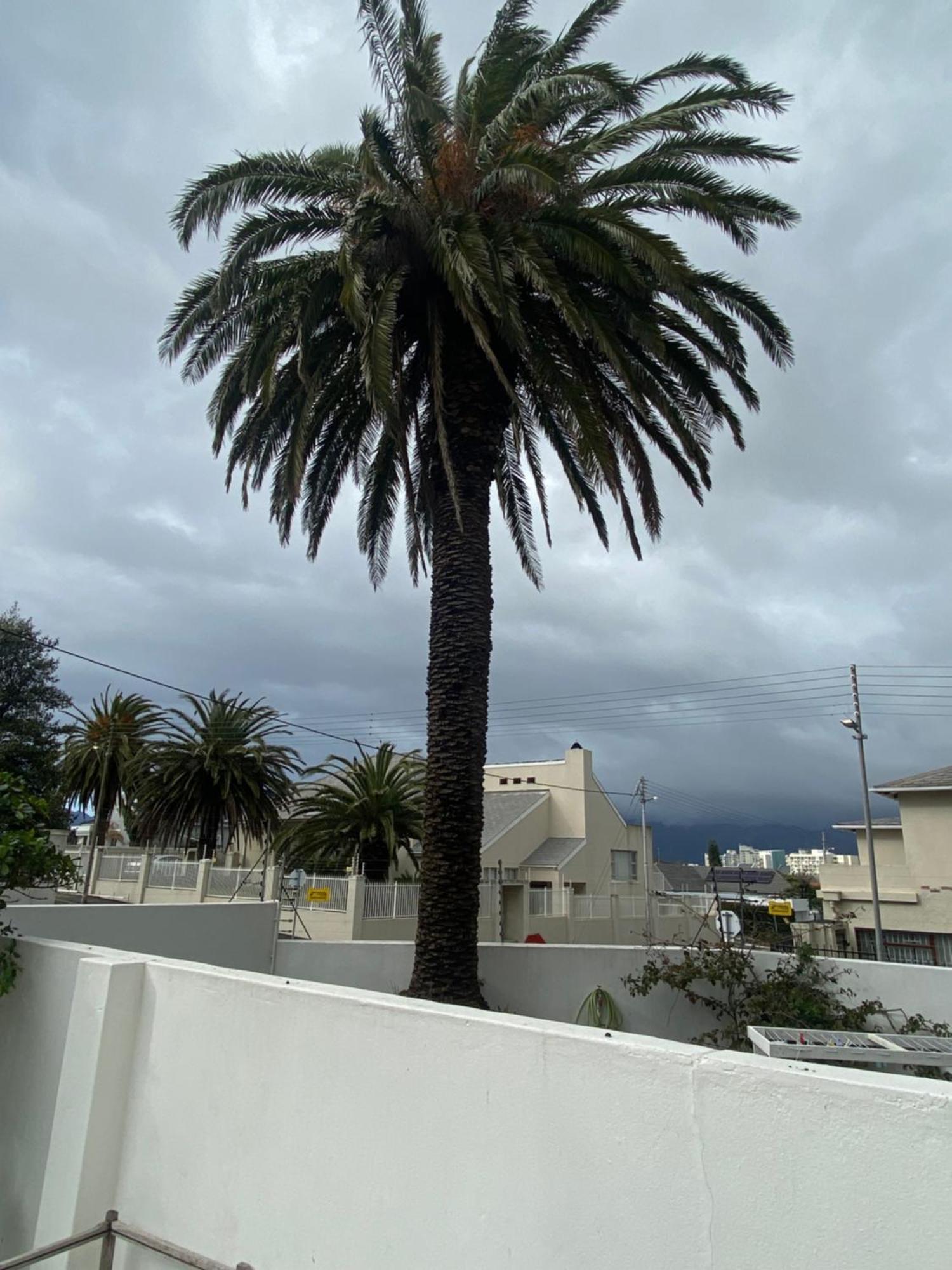 Micky'S Coziness Galore! Apartment Cape Town Exterior photo